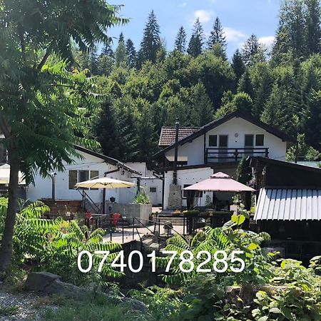Villa Podul De Brazi - Fir Bridge Cîrţişoara Exterior foto