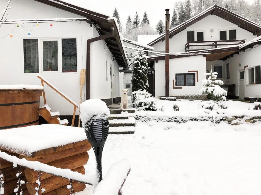 Villa Podul De Brazi - Fir Bridge Cîrţişoara Exterior foto
