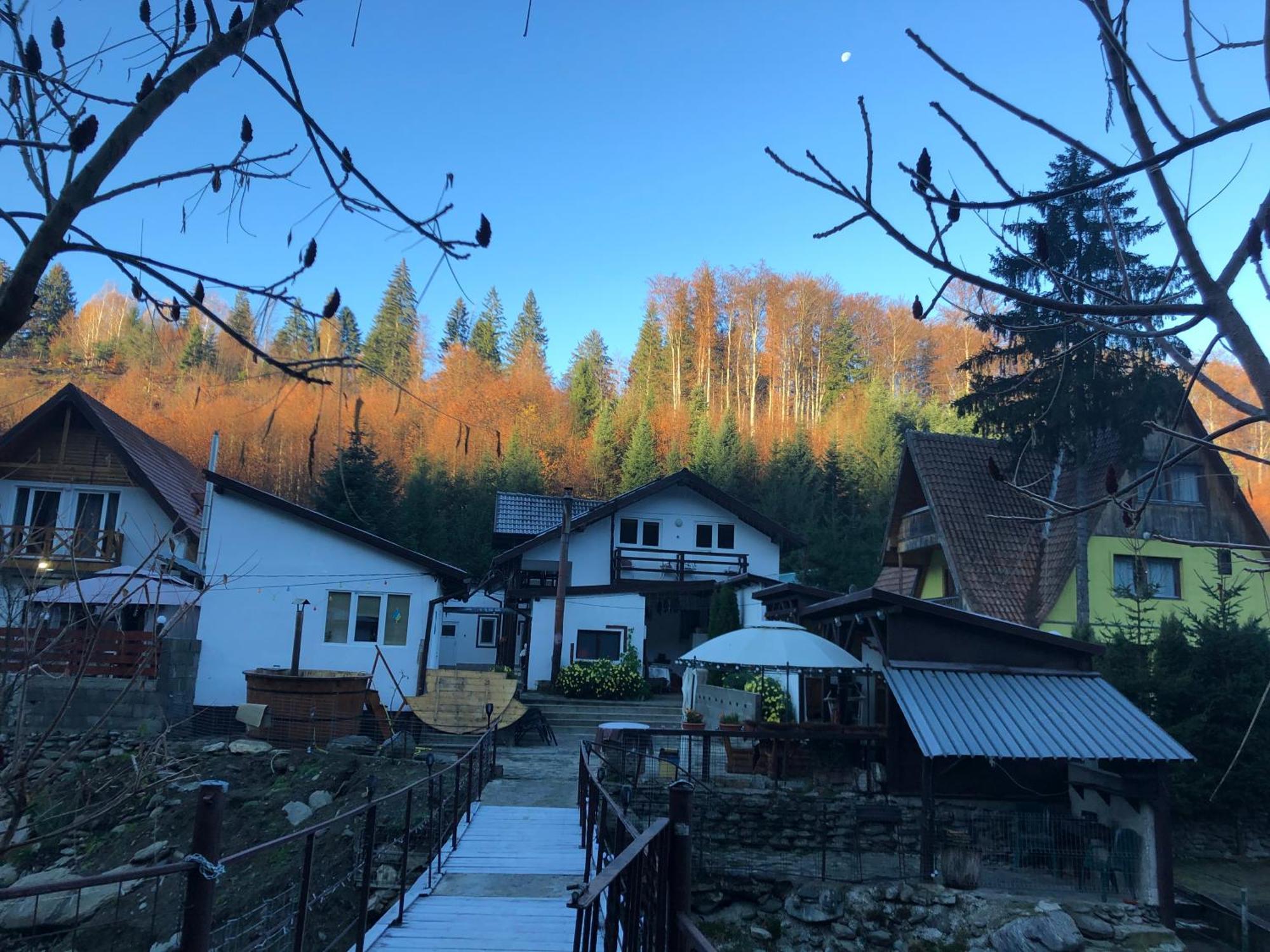 Villa Podul De Brazi - Fir Bridge Cîrţişoara Exterior foto