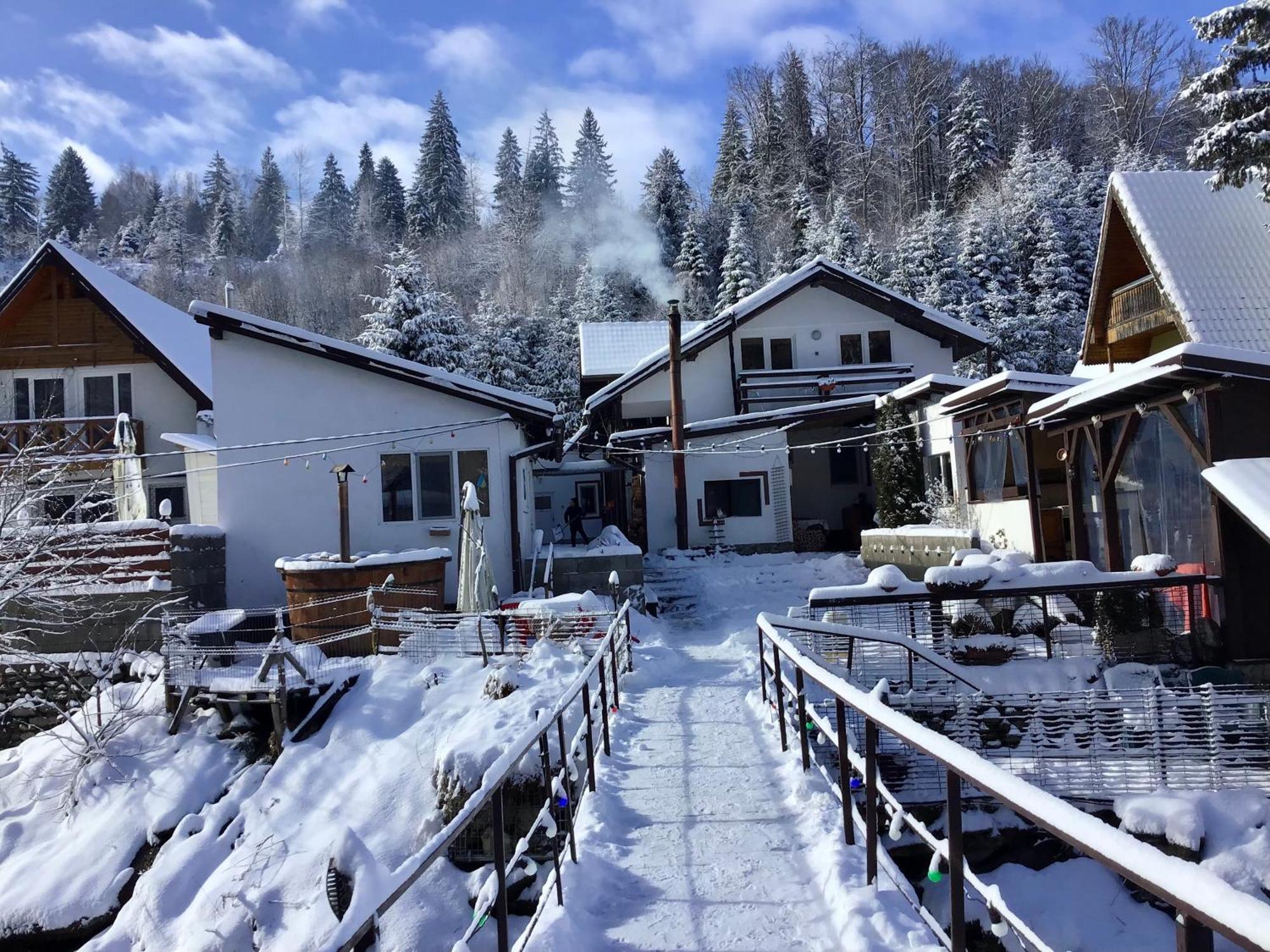Villa Podul De Brazi - Fir Bridge Cîrţişoara Exterior foto